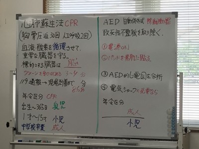 ボランティア活動報告（5月16日）-1