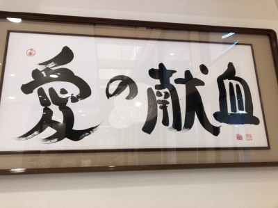 ボランティア活動報告（5月17日）-3