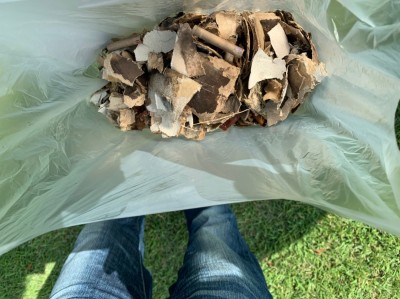 ボランティア活動報告(9月23日)-2