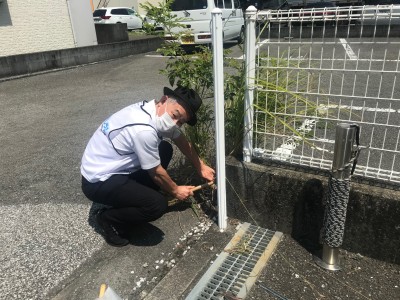 ボランティア活動報告(8月19日)-1