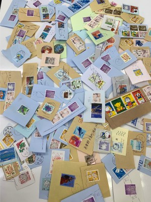 ボランティア活動報告（2月）-1