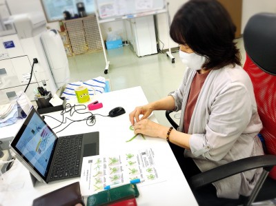 ボランティア活動報告(7月15日)-2