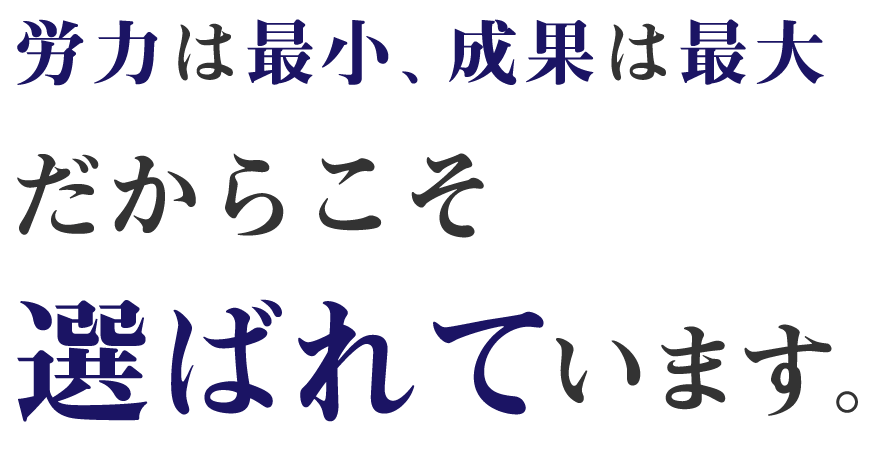 労力は最小、成果は最大だからこそ選ばれています。