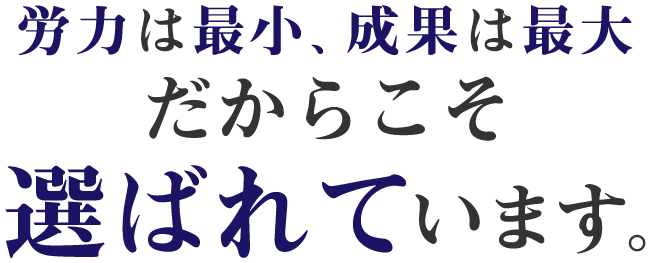 労力は最小、成果は最大だからこそ選ばれています。